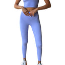 Deep Periwinkle / X-Small